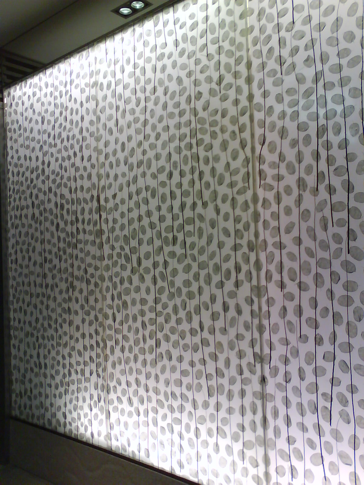 [DSC00132.JPG]