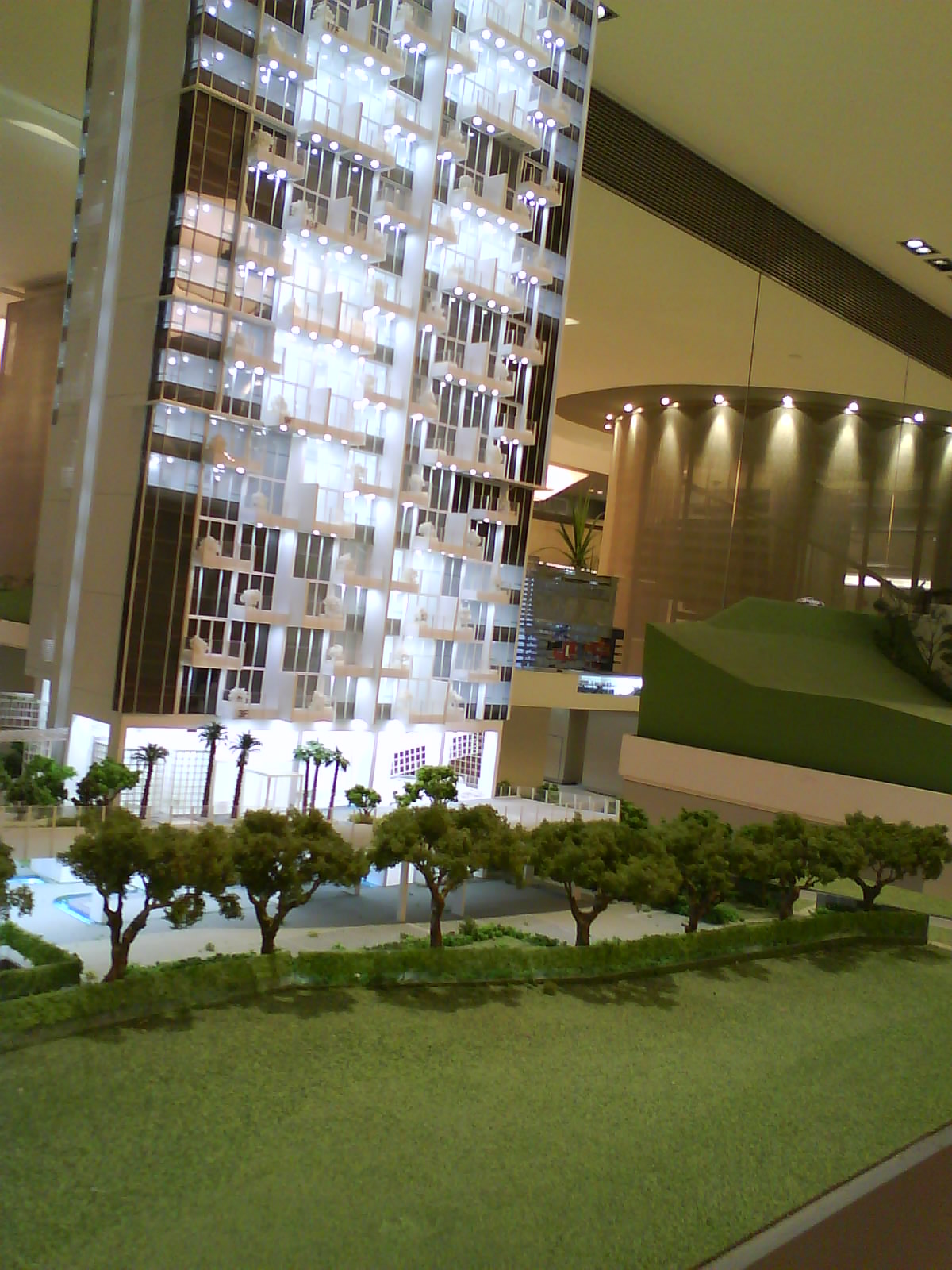 [DSC00142.JPG]