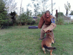 MALINOIS
