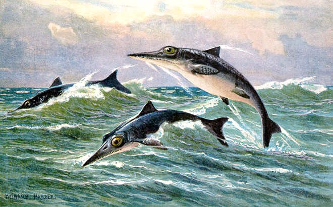 [Ichthyosaur_hharder.bmp]