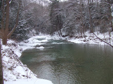 South Eastern Pennsylvania Breeder