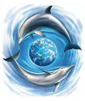 tattoo designs twirling dolphin tattoo design tattoo designs twirling dolphin tattoo design