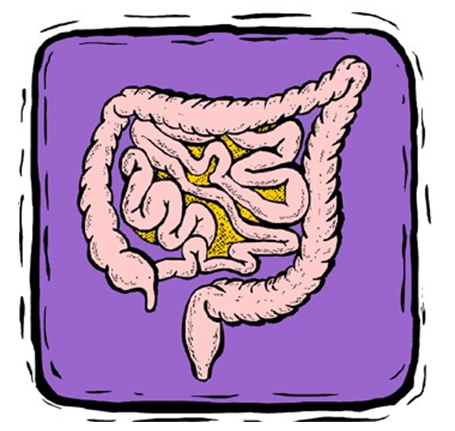 The Crap That Is Colon Cleansing