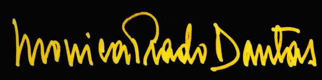 CURRICULUM ARTES PLÁSTICAS