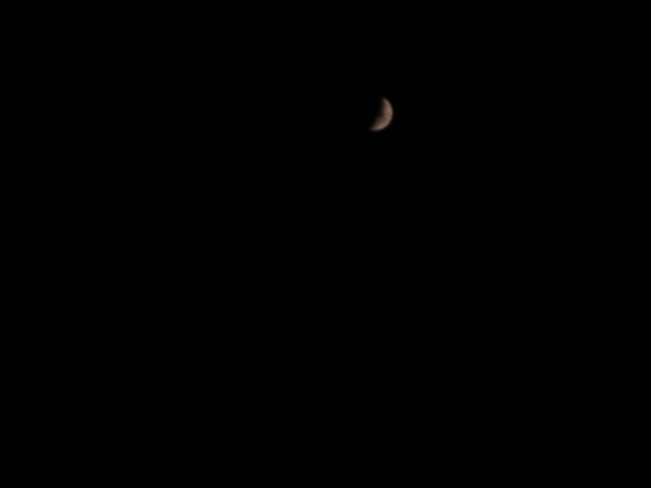 [DSC00838.JPG]