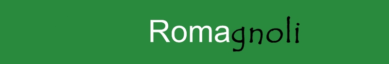 [roma3.jpg]