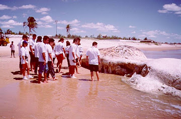 AQUASIS - PRAIA DA TABUBA - CEARÁ - ENCALHE DE BALEIA