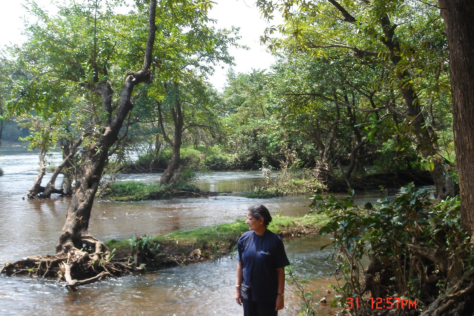[Cochin30Oct+016.jpg]