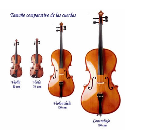 Los instrumentos de la orquesta La cuerda