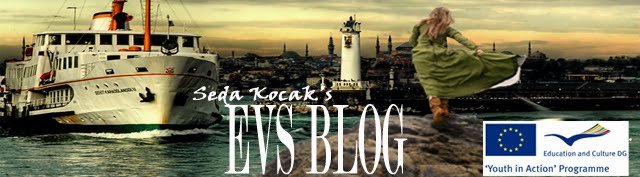 Seda Kocak's Blog