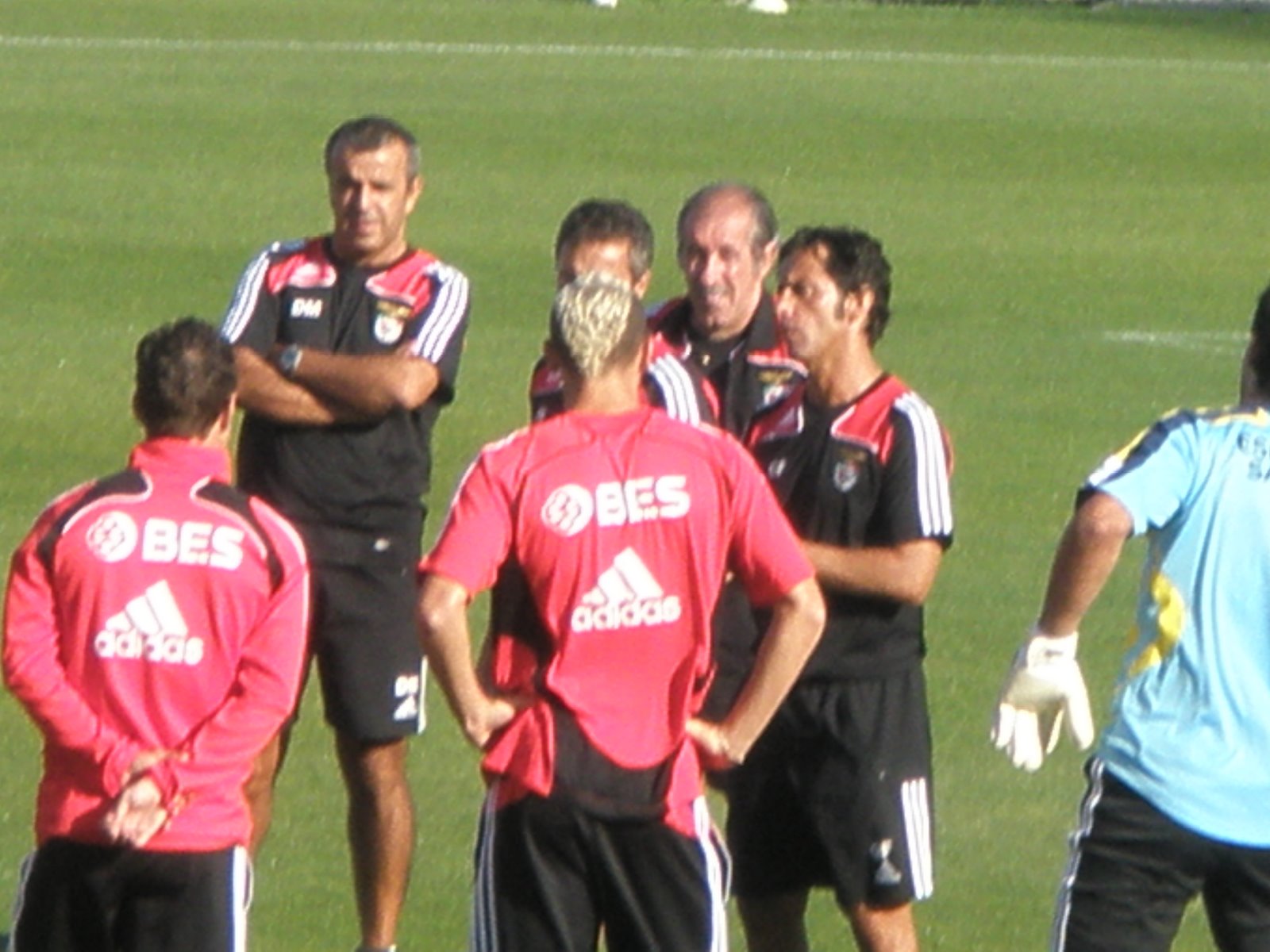 [P8260167.JPG]