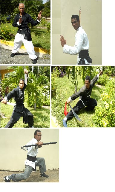 [Negros.bmp]