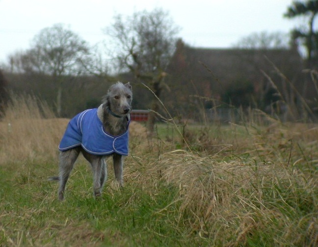 [Ossie+&+Lower+Farm.JPG]