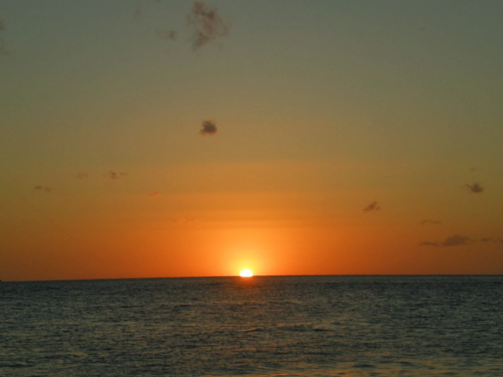 [DSCN0951.JPG]