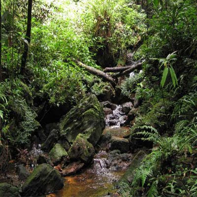 importance of nature essay importance of nature essay
