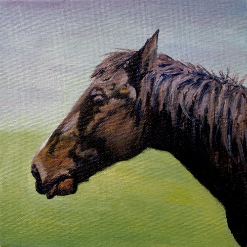 Bailey Horse