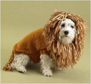 King S Quest Dog Knit King S Quest Dog Knit