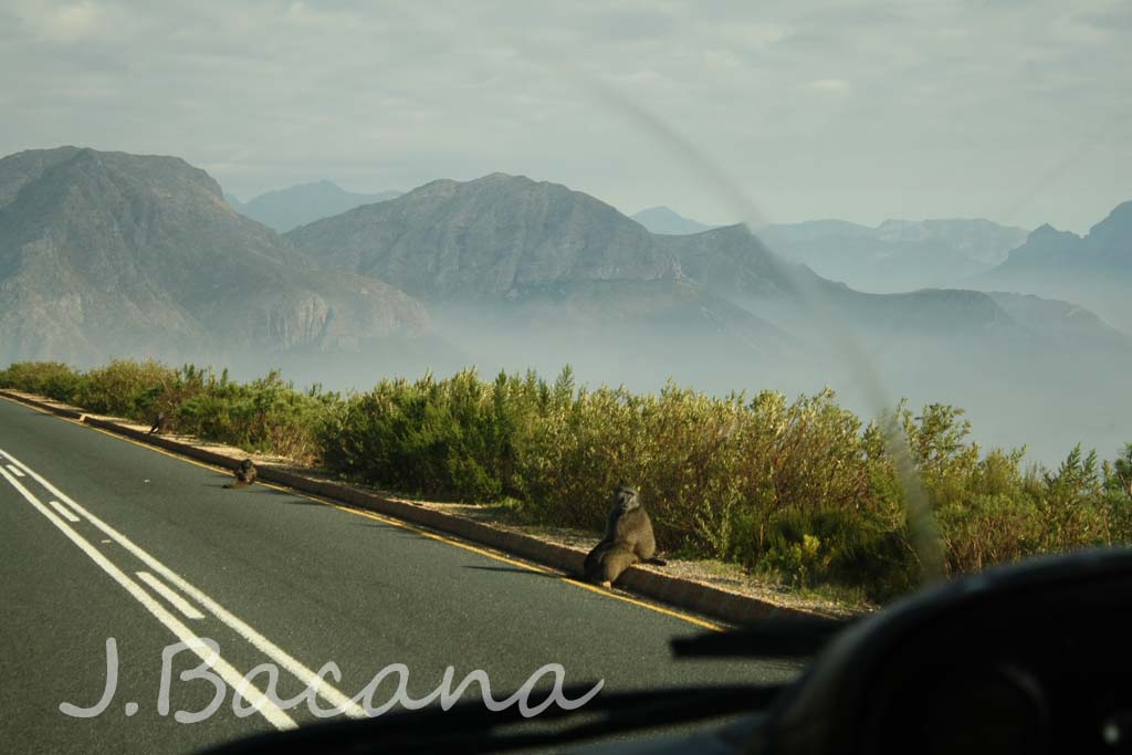 [IMG_2284026.jpg]