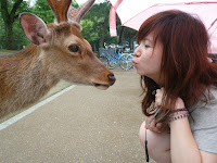 Nara/Kyoto