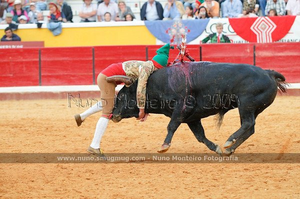 [547652953_7SyCF-M.jpg]