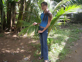 me in the coconut palm