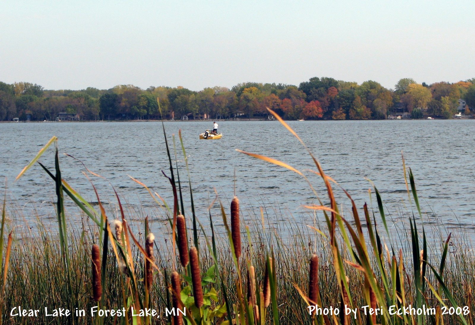 [ClearLakeFallCattails.jpg]