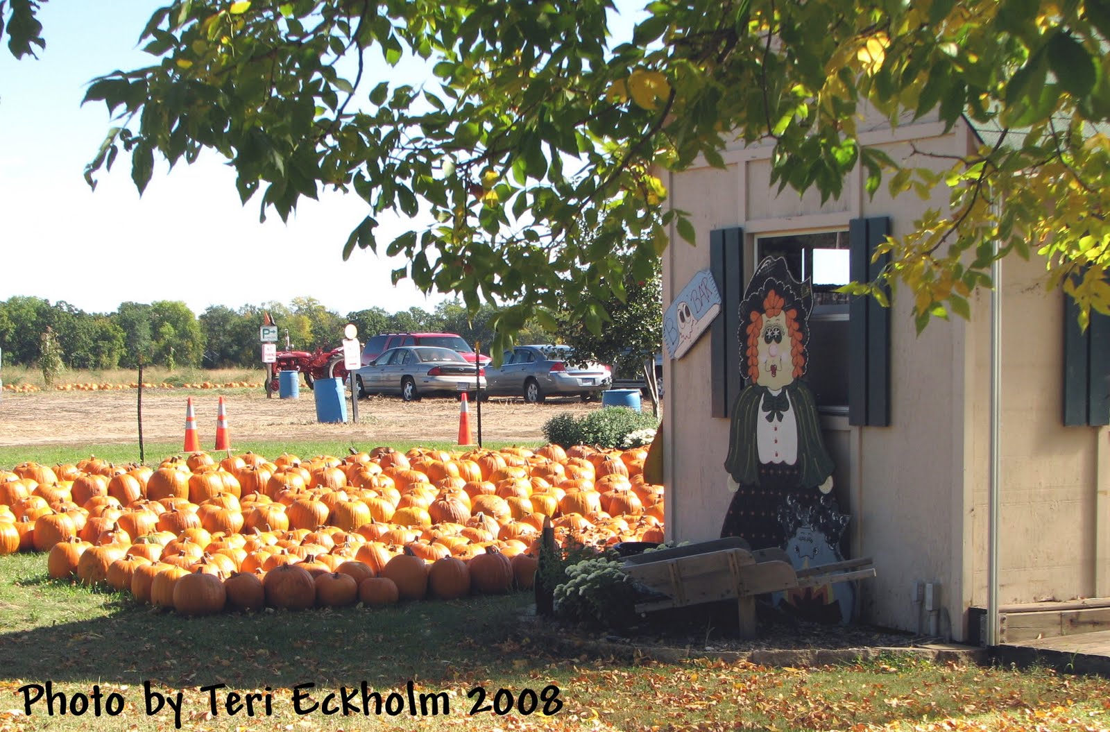 Minnesota Real Estate Update Lendt’s Pumpkin Patch—A NottobeMissed Tradition in Wyoming, MN
