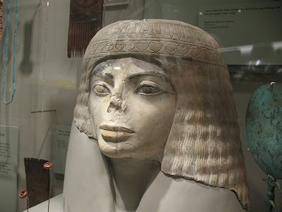 From the Field Museum in