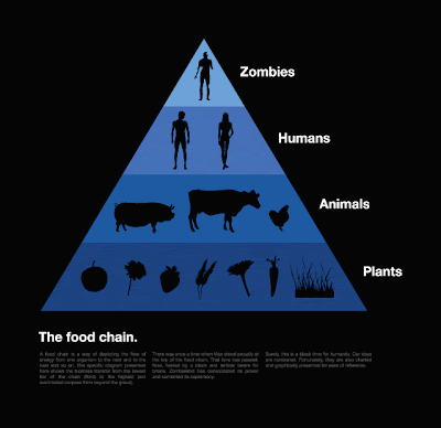 A food chain is a model that