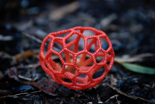 bright red fungus
