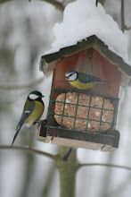 Les Oiseaux