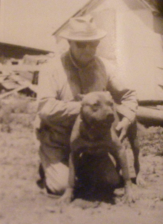 Blackjack jr apbt