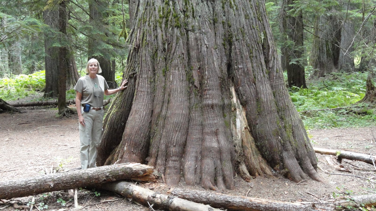Life at the Blue Rock Ranch Ross Creek Cedar Grove