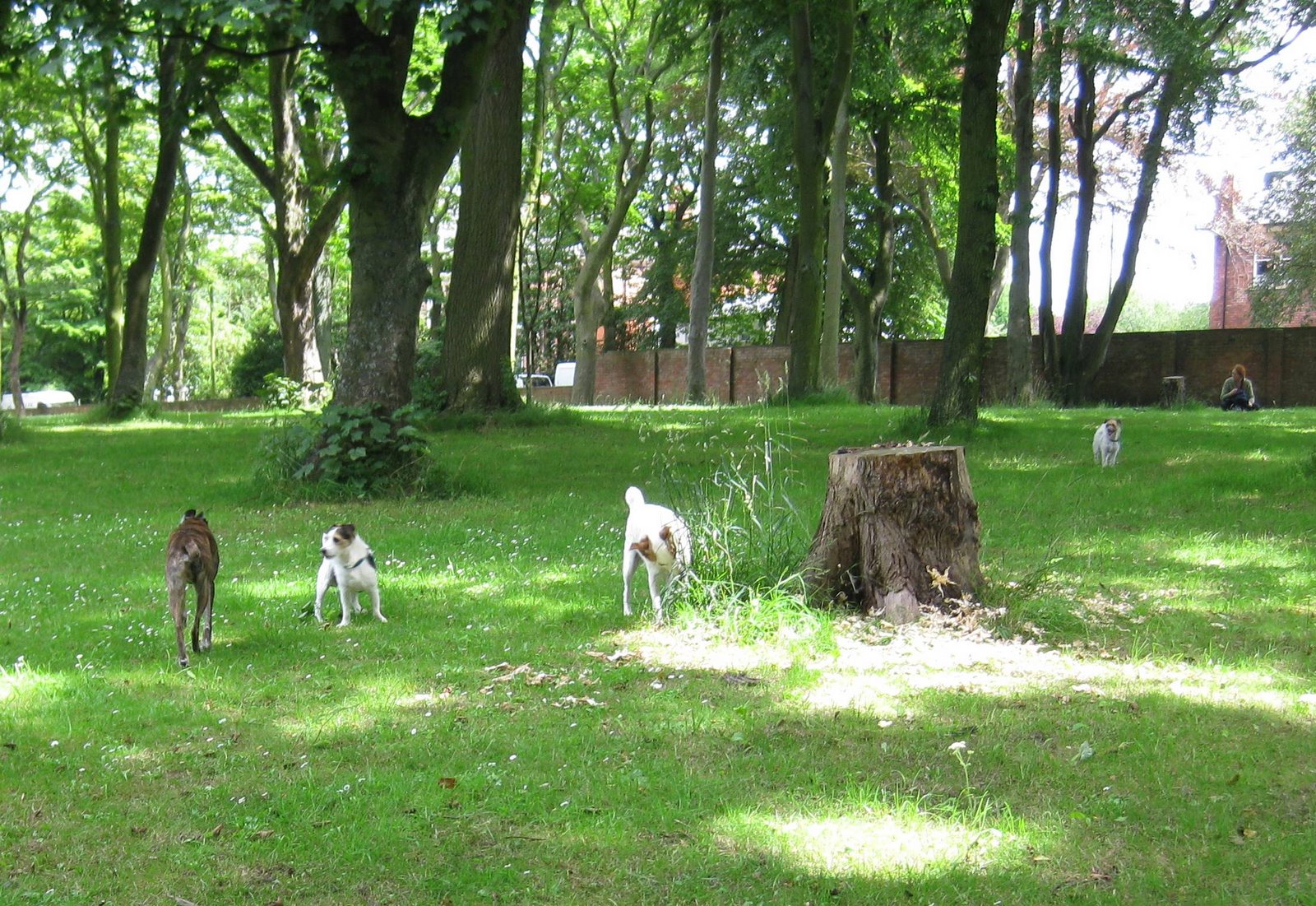 [IMG_0145.JPG]