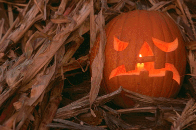 [ihalloweenmage004.gif]