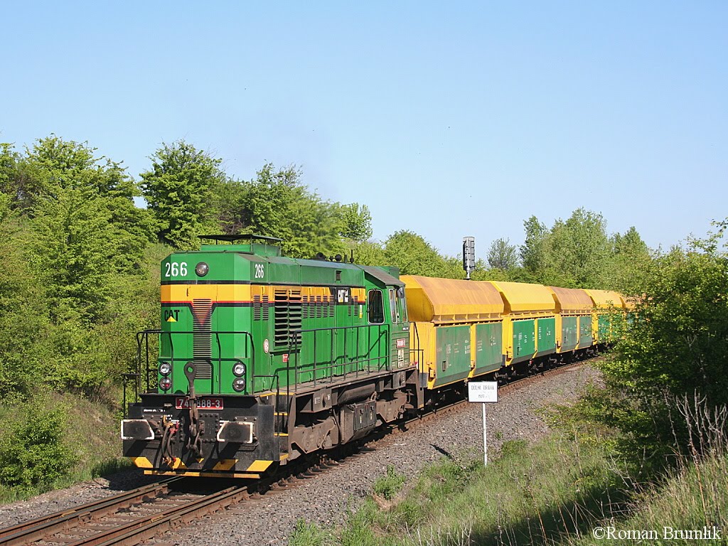 Obrázek