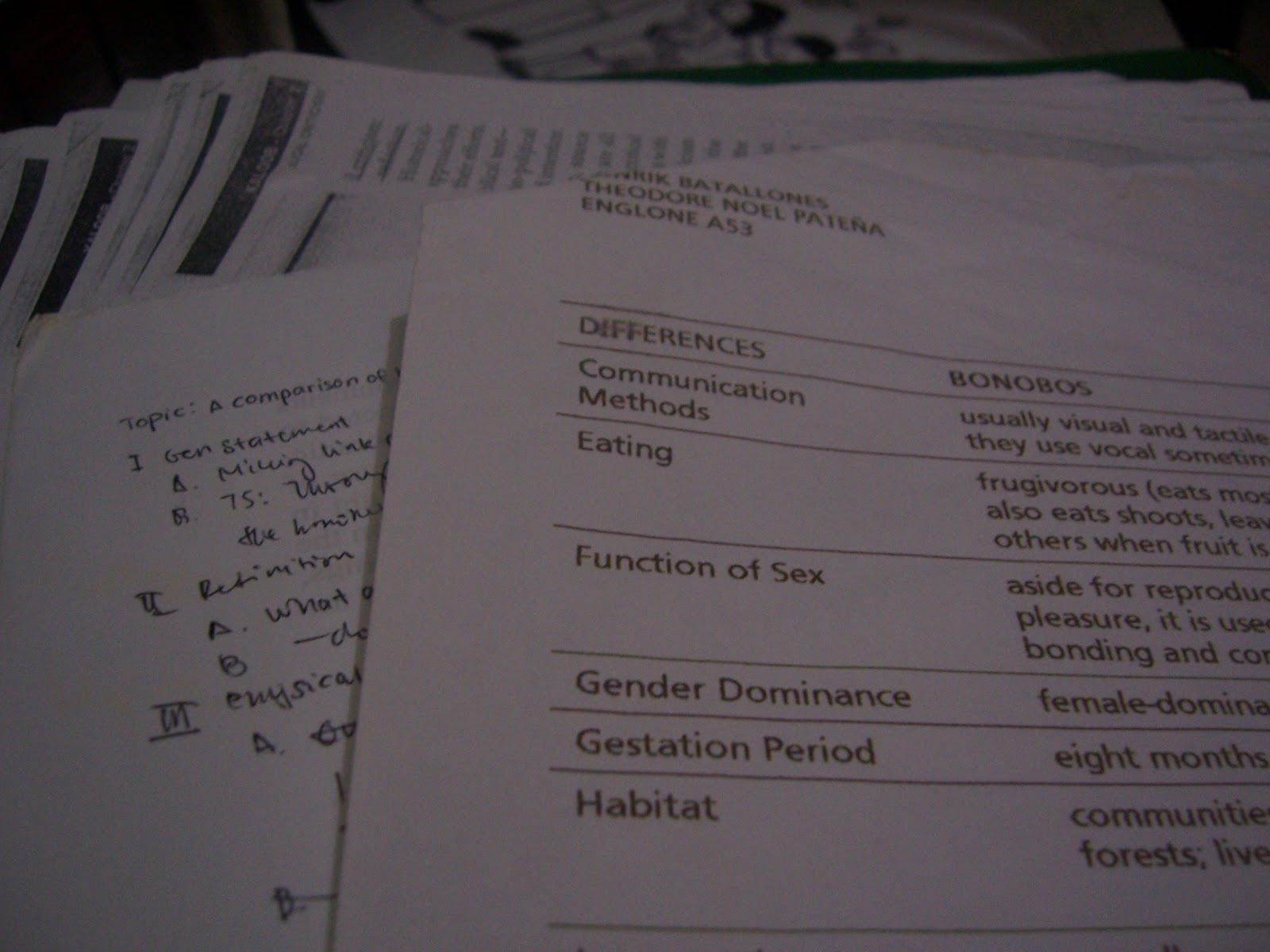The bonobos were technically a lesson in anthropology (and eventually the origins of the BonoSoc) but Sudoy and I felt like using that for our English 1 class. I guess we found the idea of female bonobos rubbing each others' genitals alluring. Us using one class' lessons (and projects) in another class wasn't unusual: I used my philosophy paper for speech class.