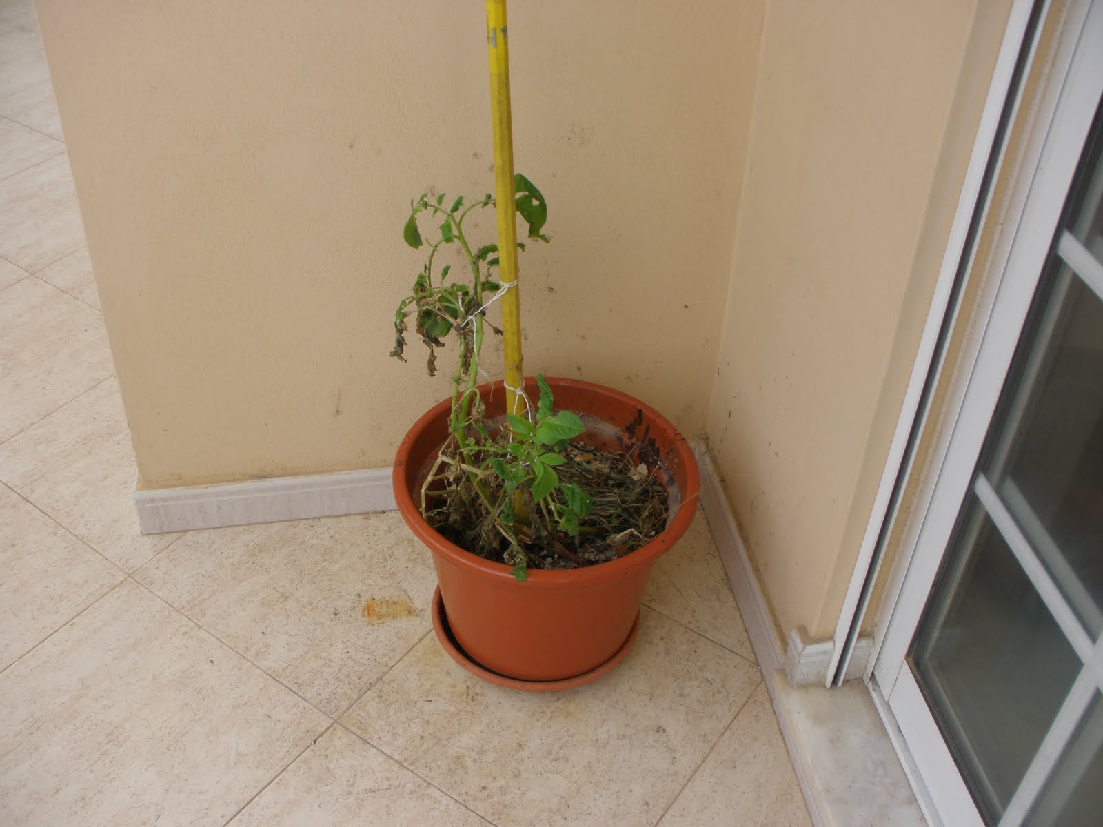 [P2140028.JPG]