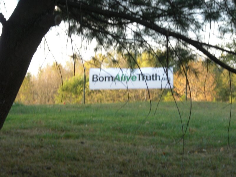 [bornalive1.jpg]