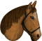 [ligera.png]
