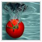 [BlogTomato]