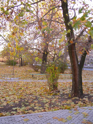 Autumn Picture in Yambol Town Park