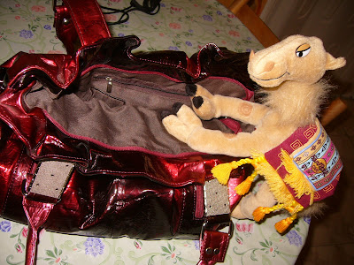 A Fashionable Handbag for Kamila
