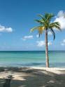 Beat The Winter Blues