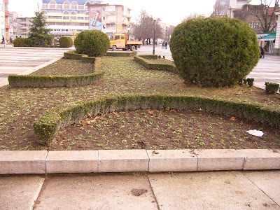 Yambol Centre Flower Garden Ready For Action