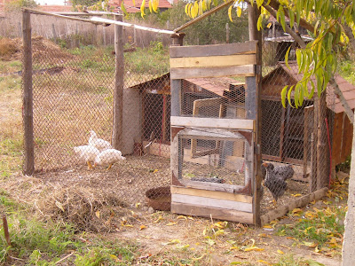 City Farm In Yambol Now On