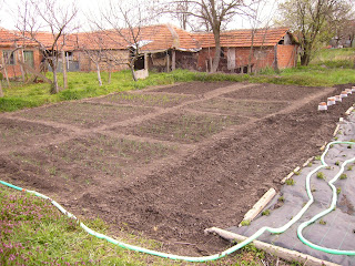 Skalitsa Springing Into Action