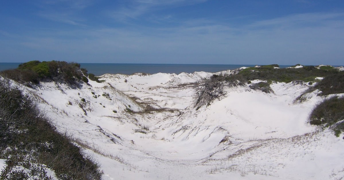 Blessed With Four Florida Sand Dunes