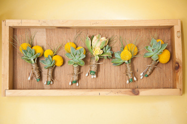 [emerald5succulents.jpeg]