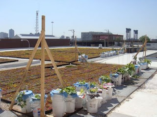 Green Roof Growers Making Trellises